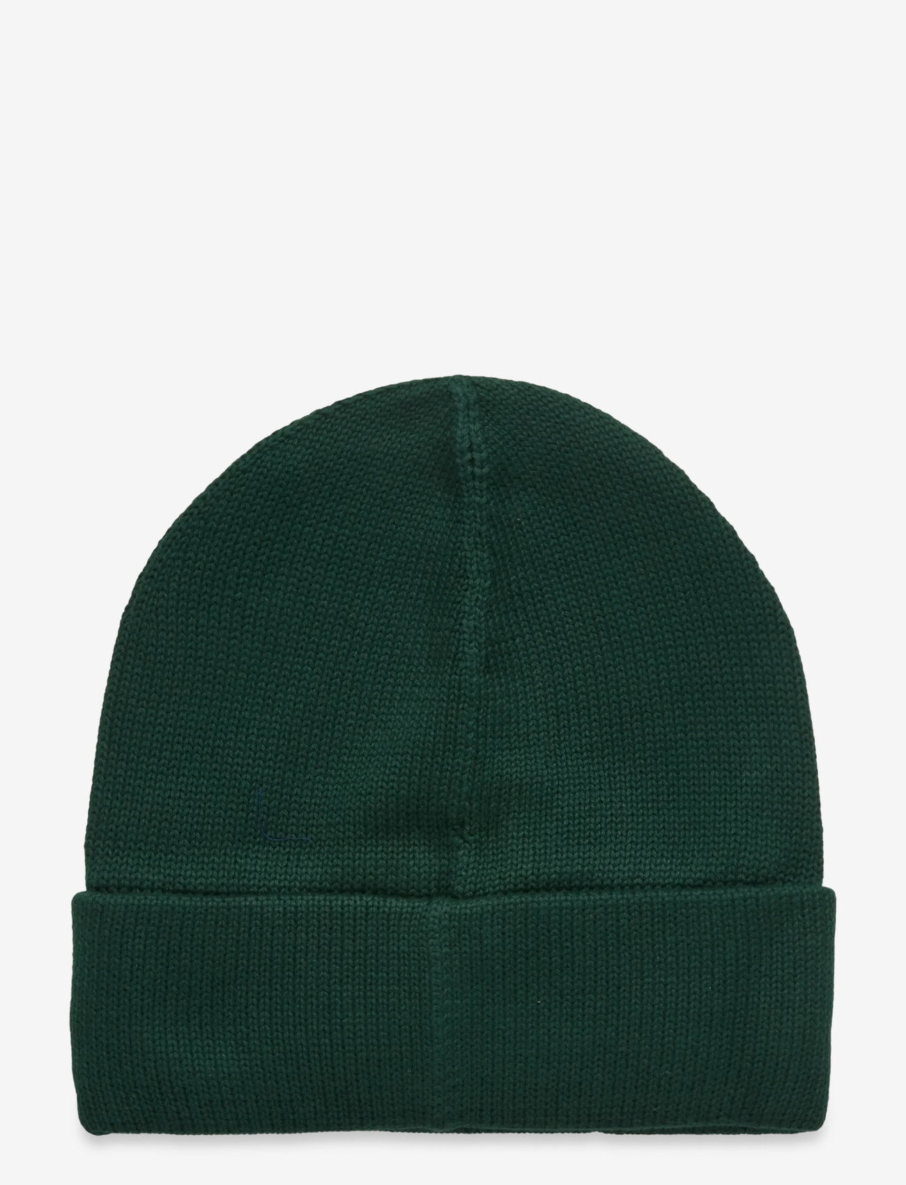 Ralph Lauren Kids - Unisex Hat Hw Hat - moss agate - 1