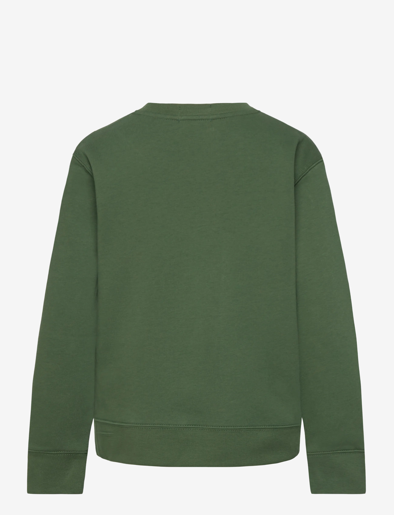 Ralph Lauren Kids - Polo Bear Fleece Sweatshirt - dressipluusid - hol25 bear bottle - 1