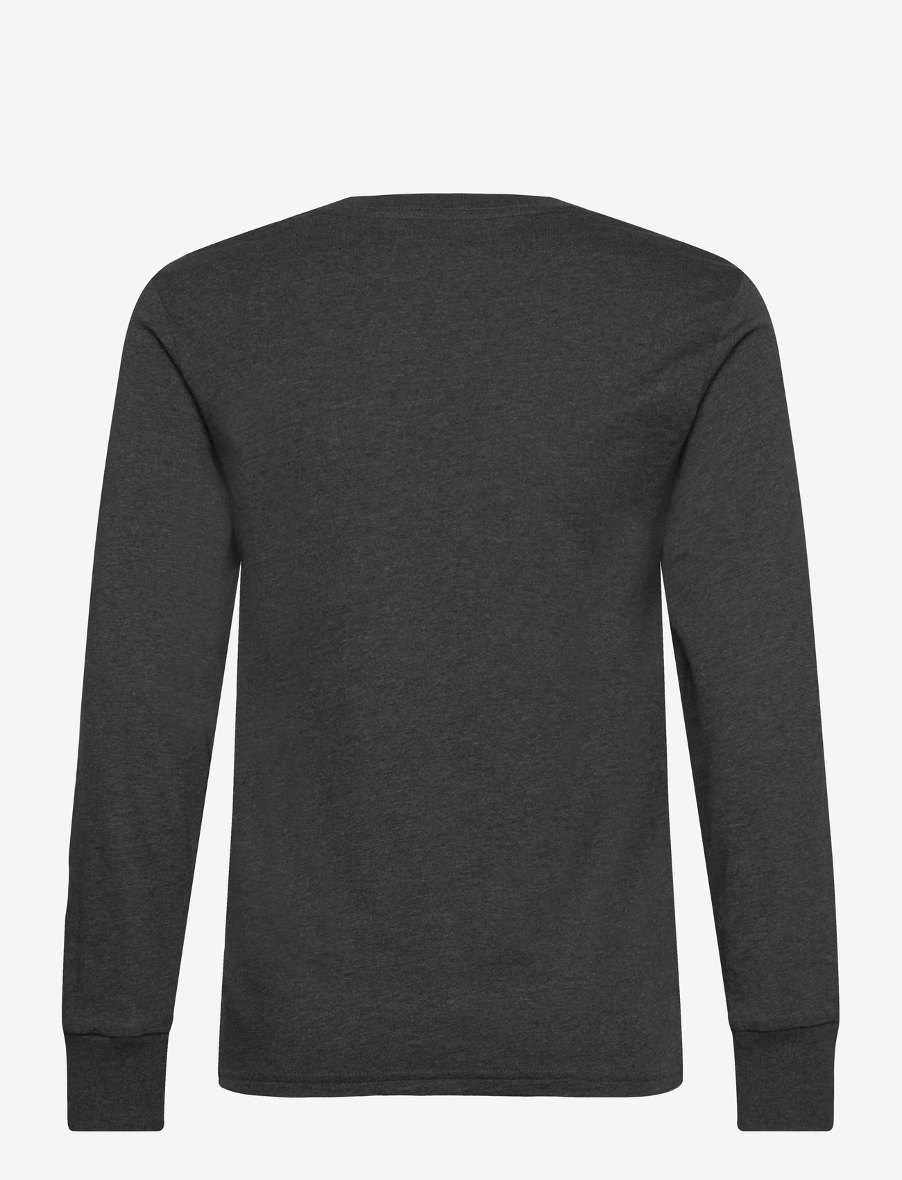 Ralph Lauren Kids - Cotton Jersey Graphic Long-Sleeve Tee - långärmade t-shirts - windsor heather - 1