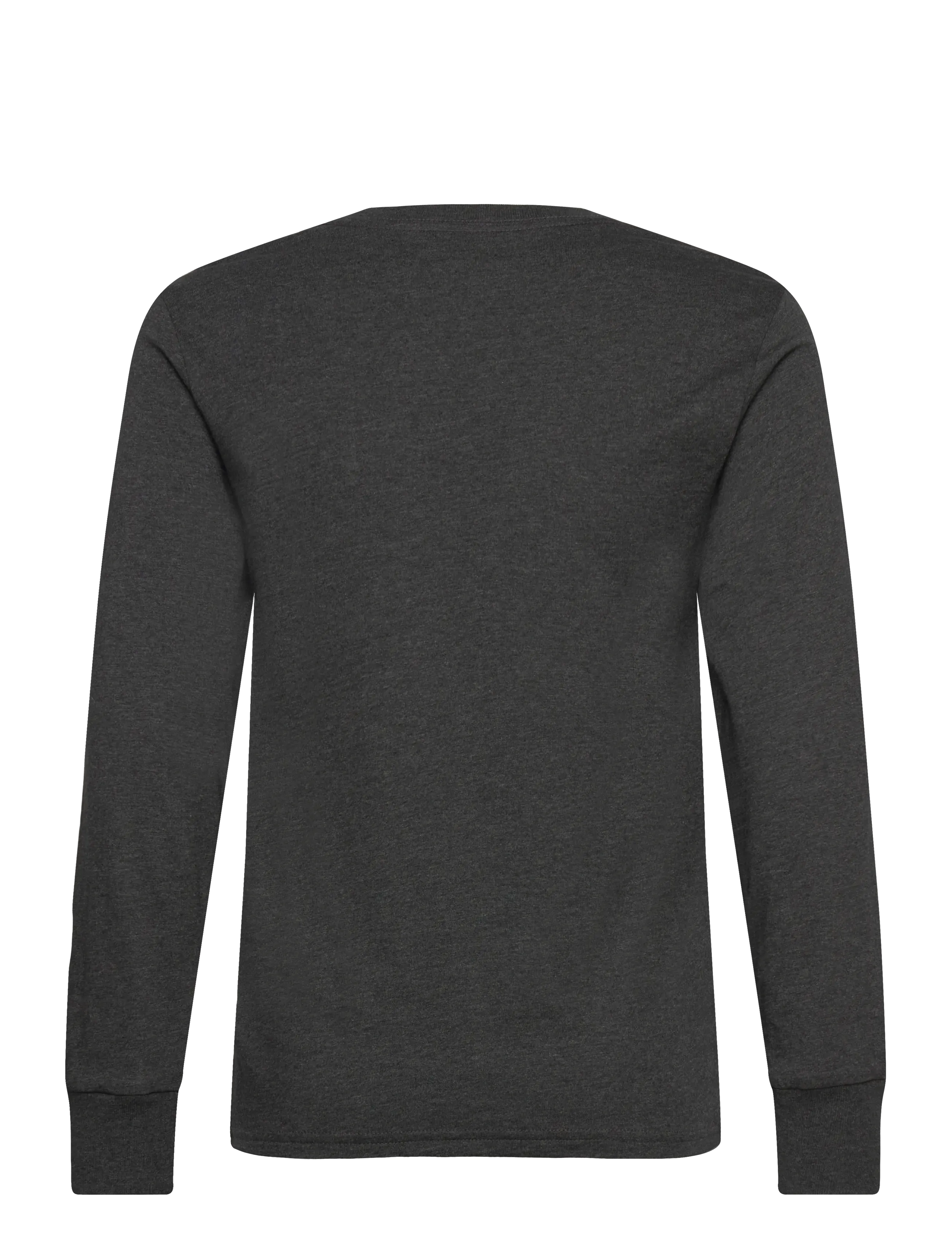 Ralph Lauren Kids - Cotton Jersey Graphic Long-Sleeve Tee - t-shirts à manches longues - windsor heather - 1