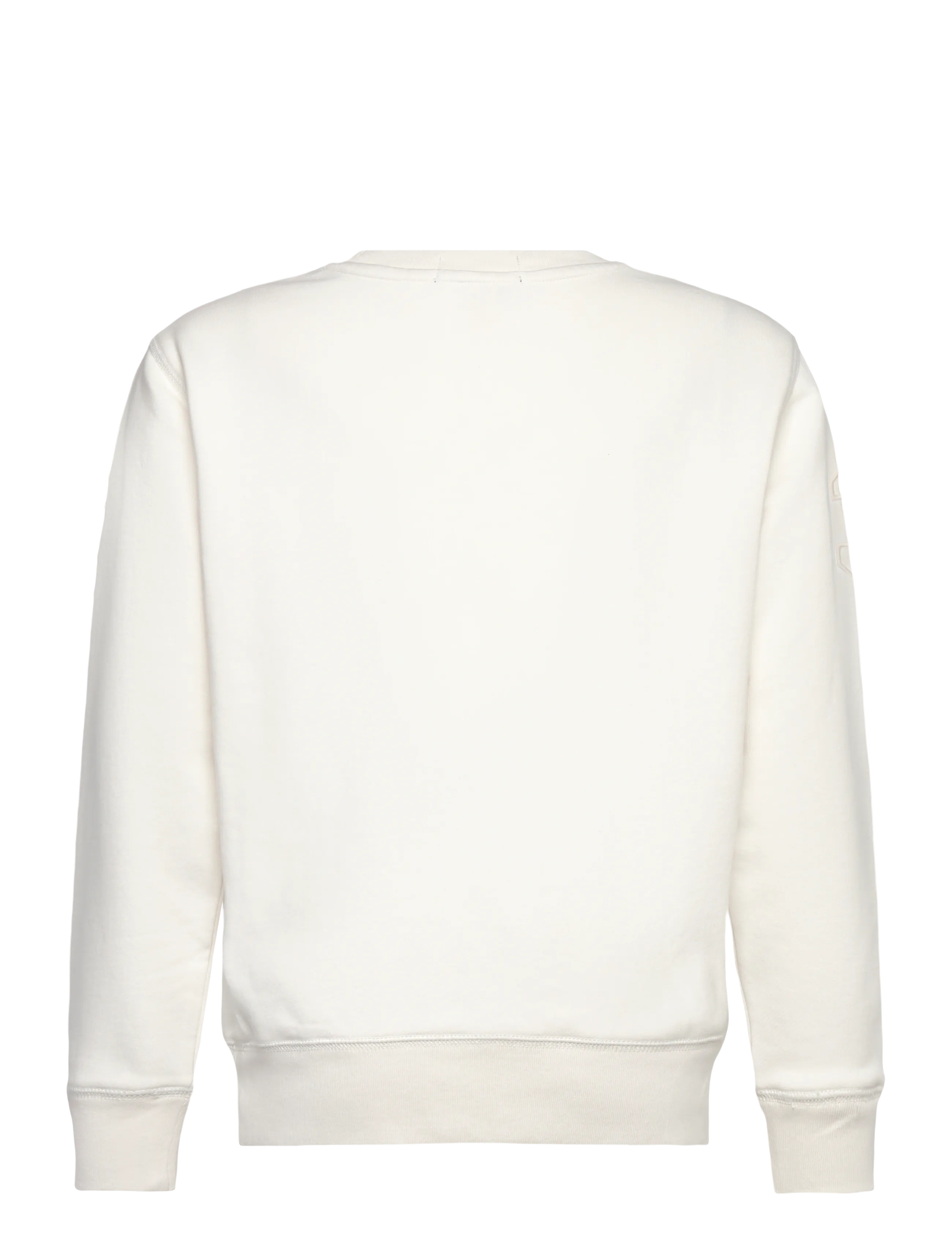 Ralph Lauren Kids - 323A12253001 - sweatshirts - deckwash white - 1