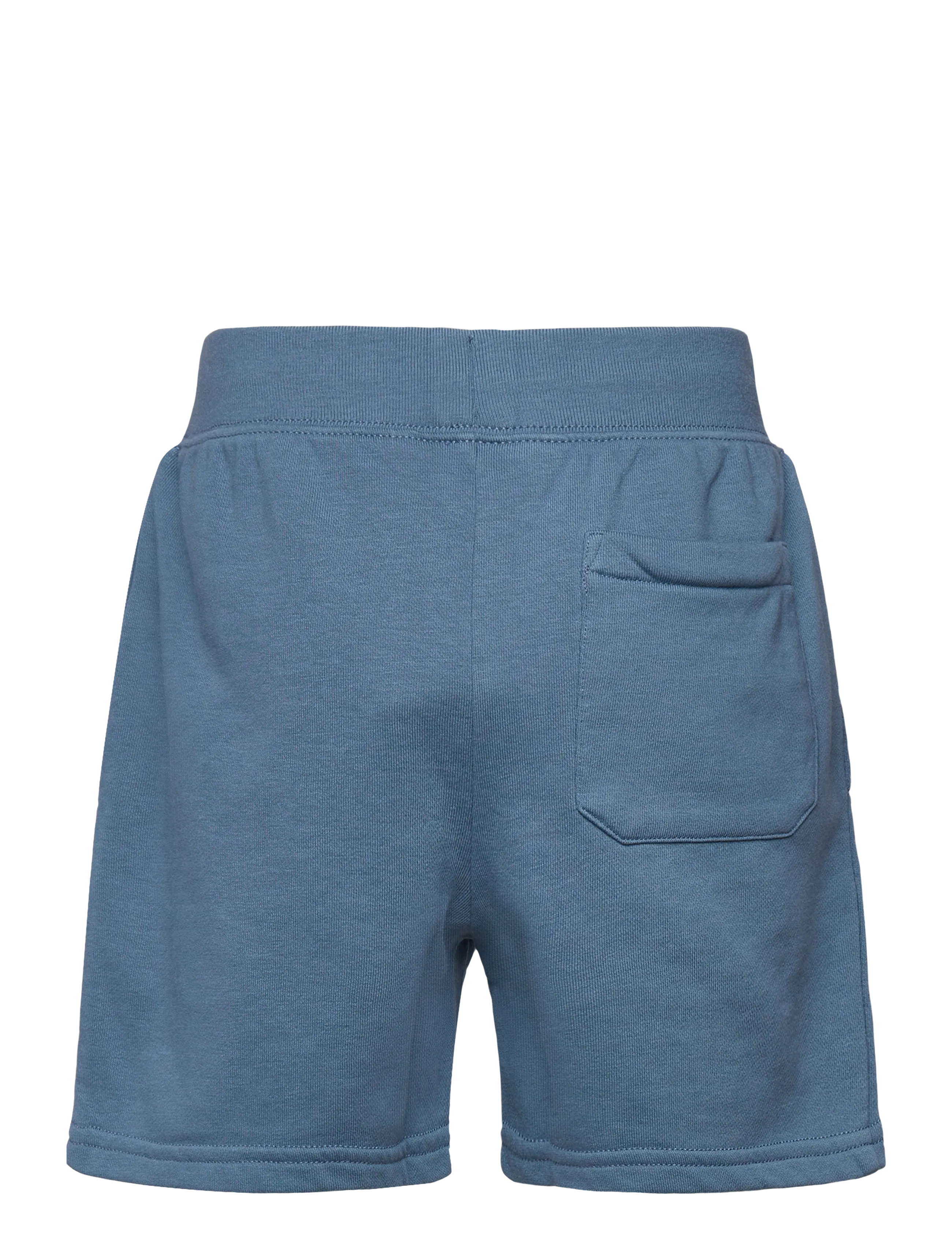 Ralph Lauren Kids - Big Pony French Terry Short - lühikesed dressipüksid - camp blue - 1