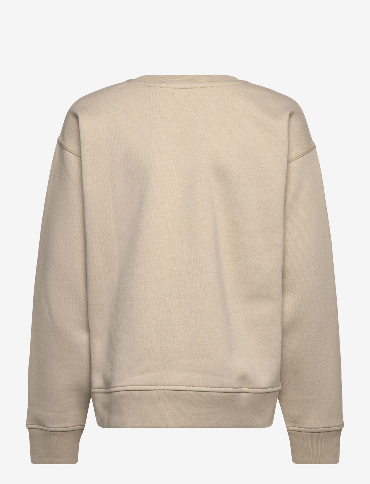 Ralph Lauren Kids - Big Fit Logo Fleece Sweatshirt - dressipluusid - classic stone - 1