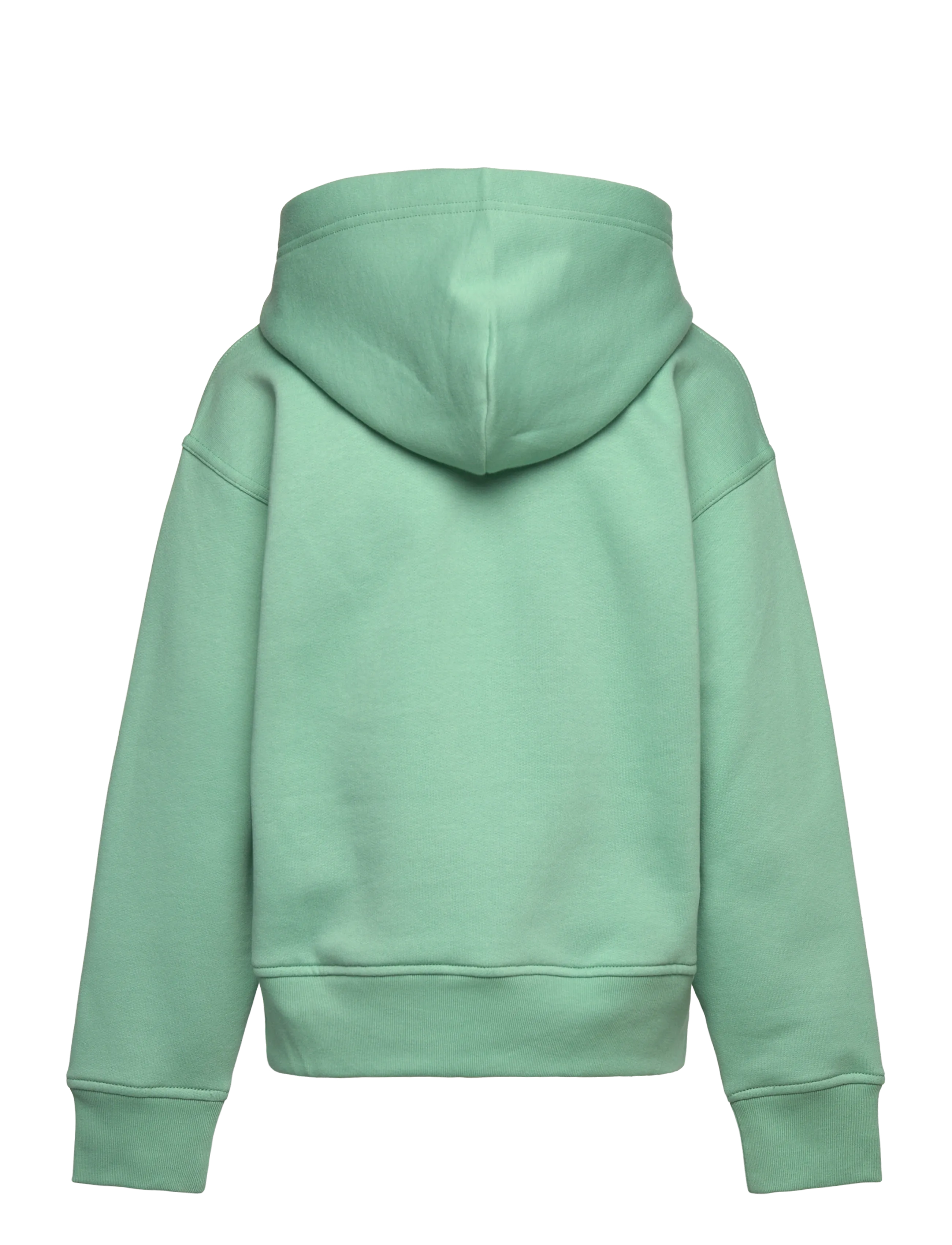 Ralph Lauren Kids - Big Fit Logo Fleece Hoodie - hættetrøjer - celadon - 2