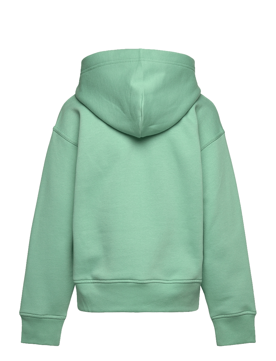 Ralph Lauren Kids - Big Fit Logo Fleece Hoodie - kapuzenpullover - celadon - 2
