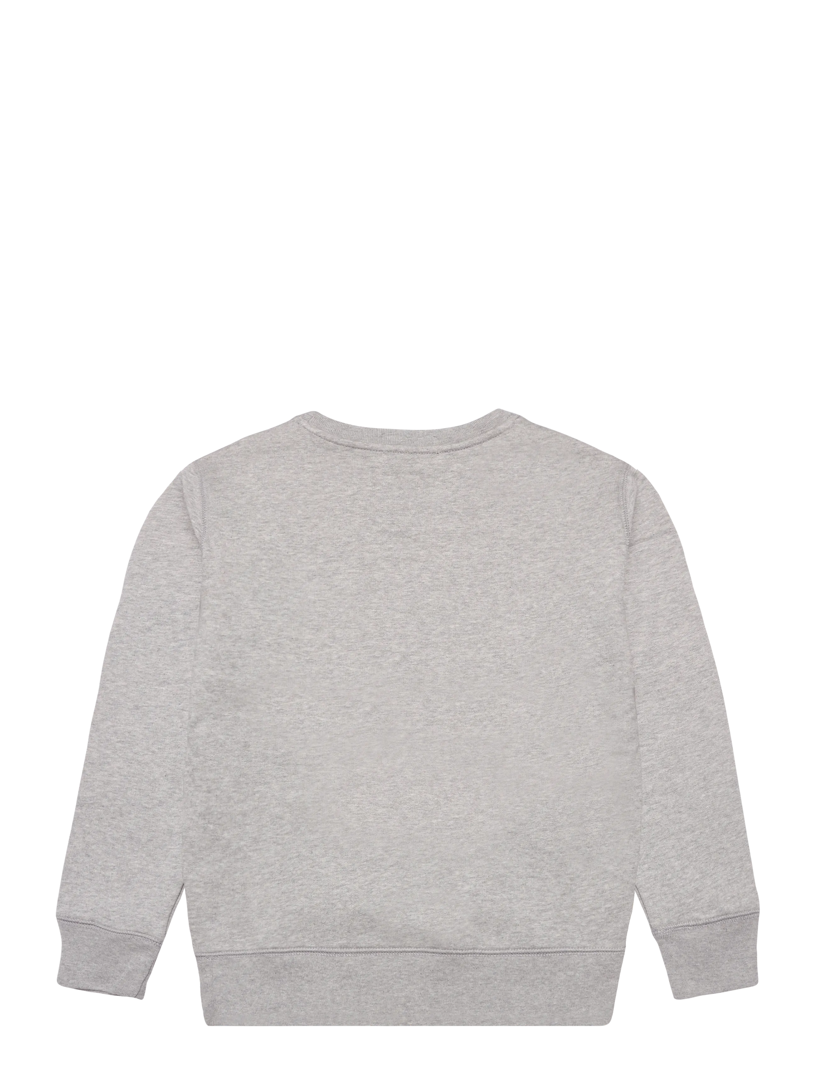 Ralph Lauren Kids - Polo Bear Fleece Sweatshirt - andover heather - 2