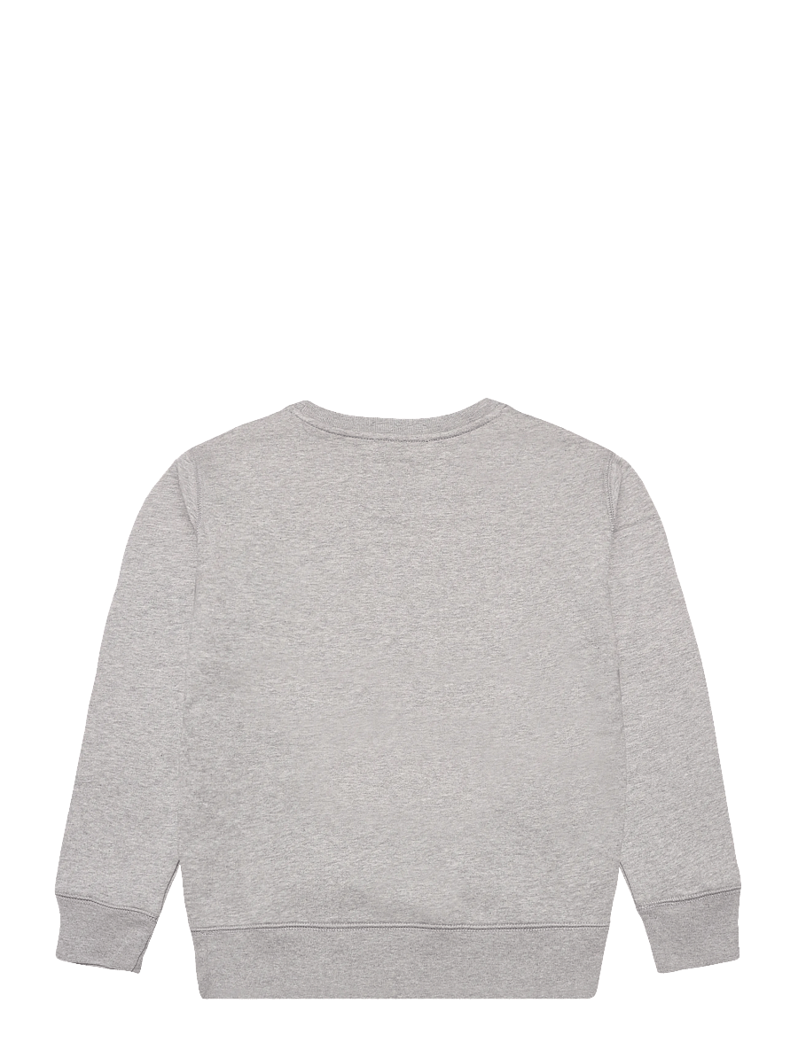 Ralph Lauren Kids - Polo Bear Fleece Sweatshirt - sweatshirts - andover heather - 2