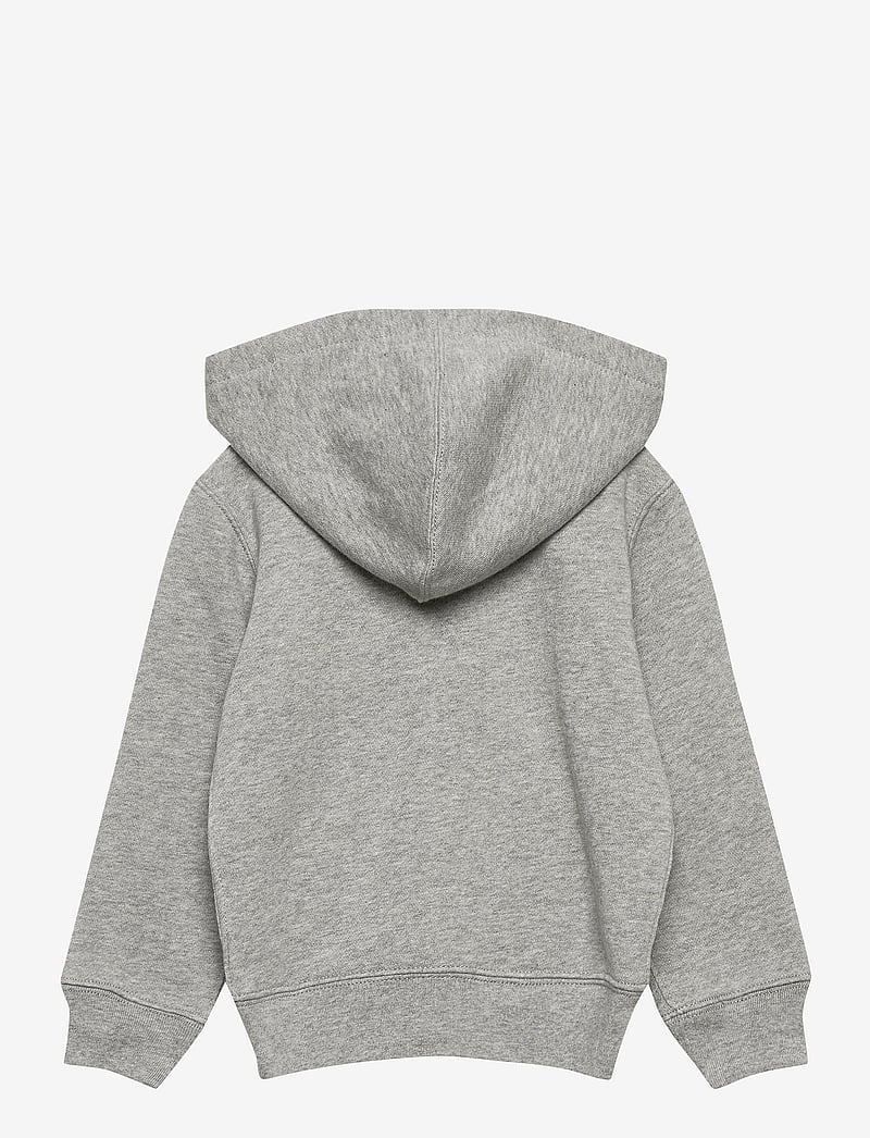 Ralph Lauren Kids - Fleece Hoodie - kapuzenpullover - dark sport heat - 1