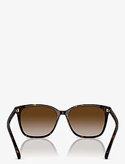 Ralph Ralph Lauren Sunglasses - 0RA5293 56 50033B - d-laga - shiny dark havana - 2
