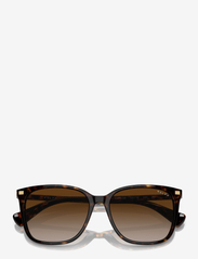 Ralph Ralph Lauren Sunglasses - 0RA5293 56 50033B - d-laga - shiny dark havana - 3