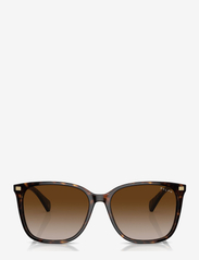 Ralph Ralph Lauren Sunglasses - 0RA5293 56 50033B - d-laga - shiny dark havana - 4