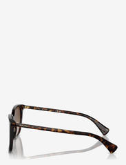 Ralph Ralph Lauren Sunglasses - 0RA5293 56 50033B - d-laga - shiny dark havana - 5