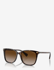 Ralph Ralph Lauren Sunglasses - 0RA5293 56 50033B - d-laga - shiny dark havana - 6
