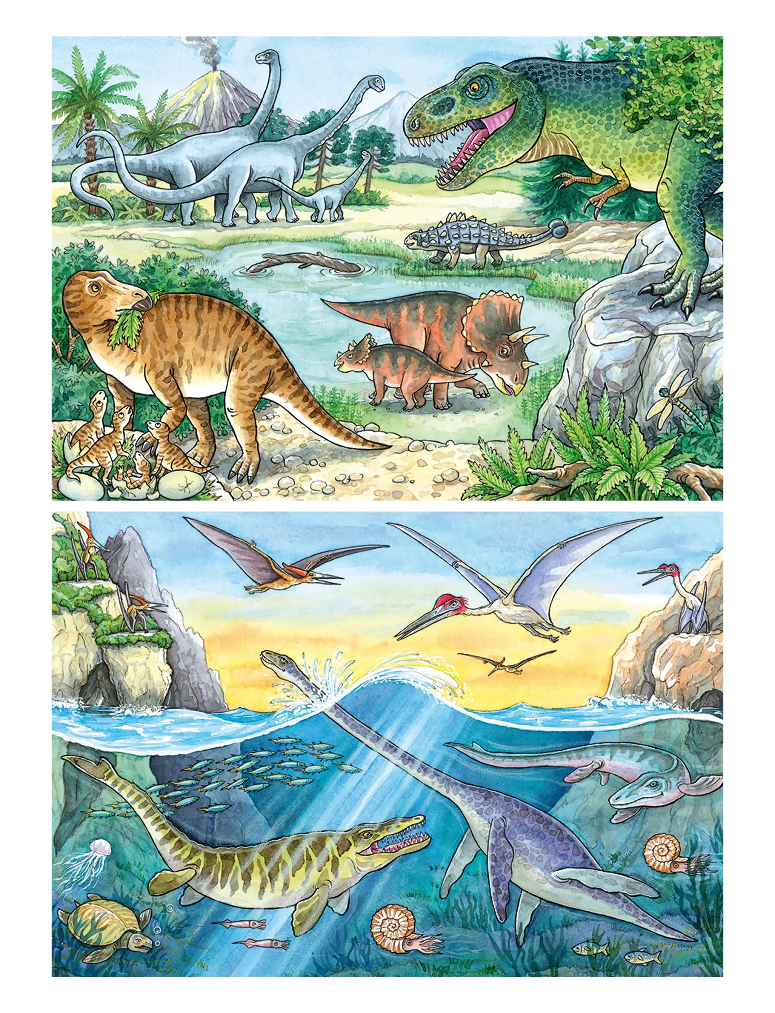 Ravensburger - Dinosaurs Of Land And Sea 2x24p - klassiske puslespil - multi coloured - 2