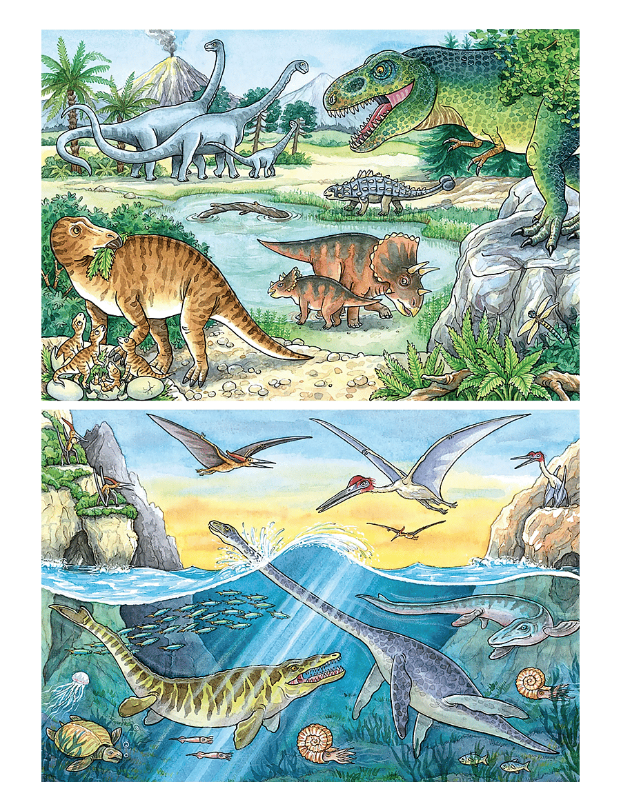 Ravensburger - Dinosaurer og deres liv 2x24p - klassiske puslespill - multi coloured - 2