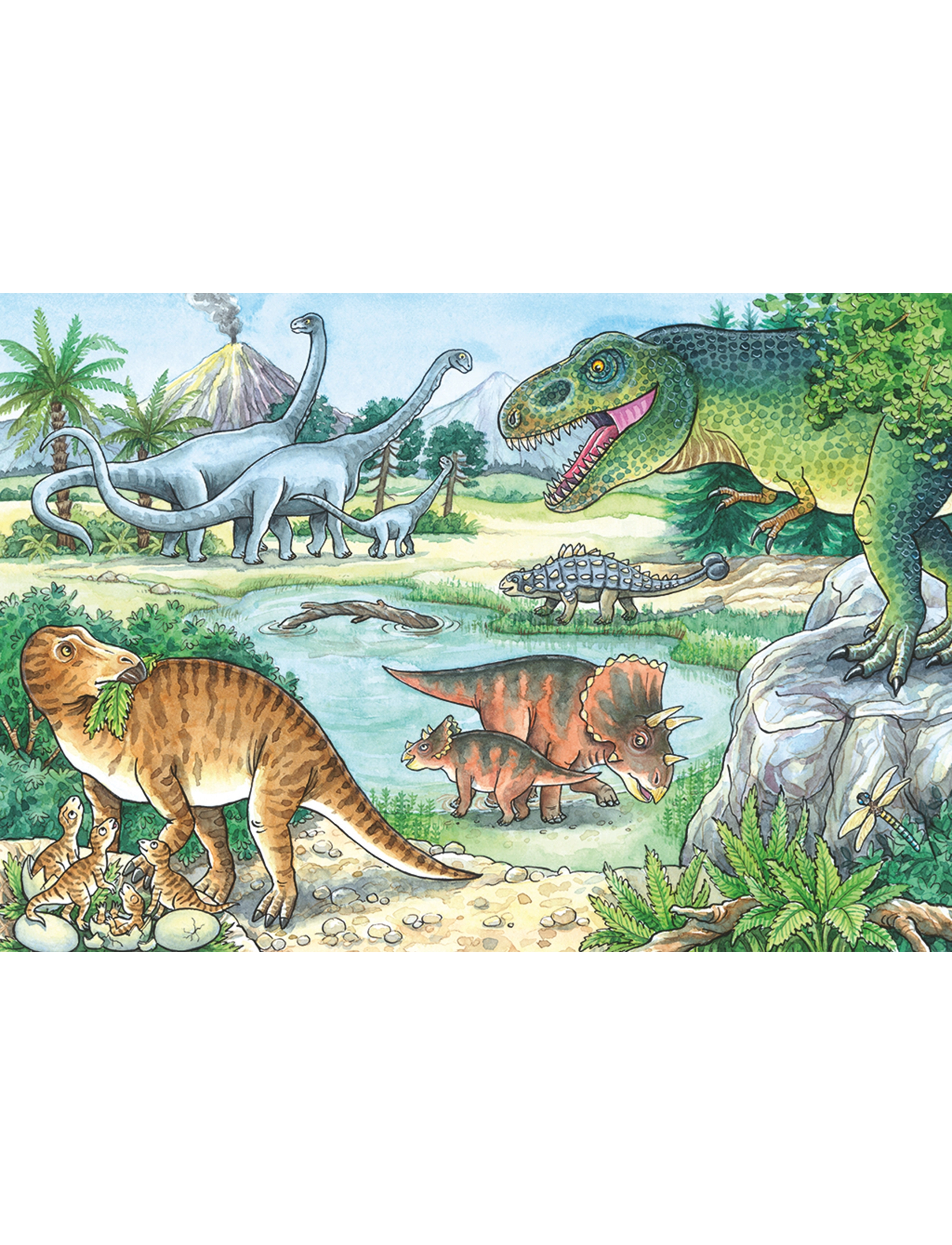 Ravensburger - Dinosaurs Of Land And Sea 2x24p - pussel - multi coloured - 2