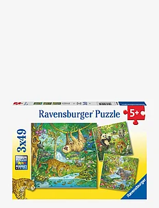 In The Jungle 3x49p, Ravensburger