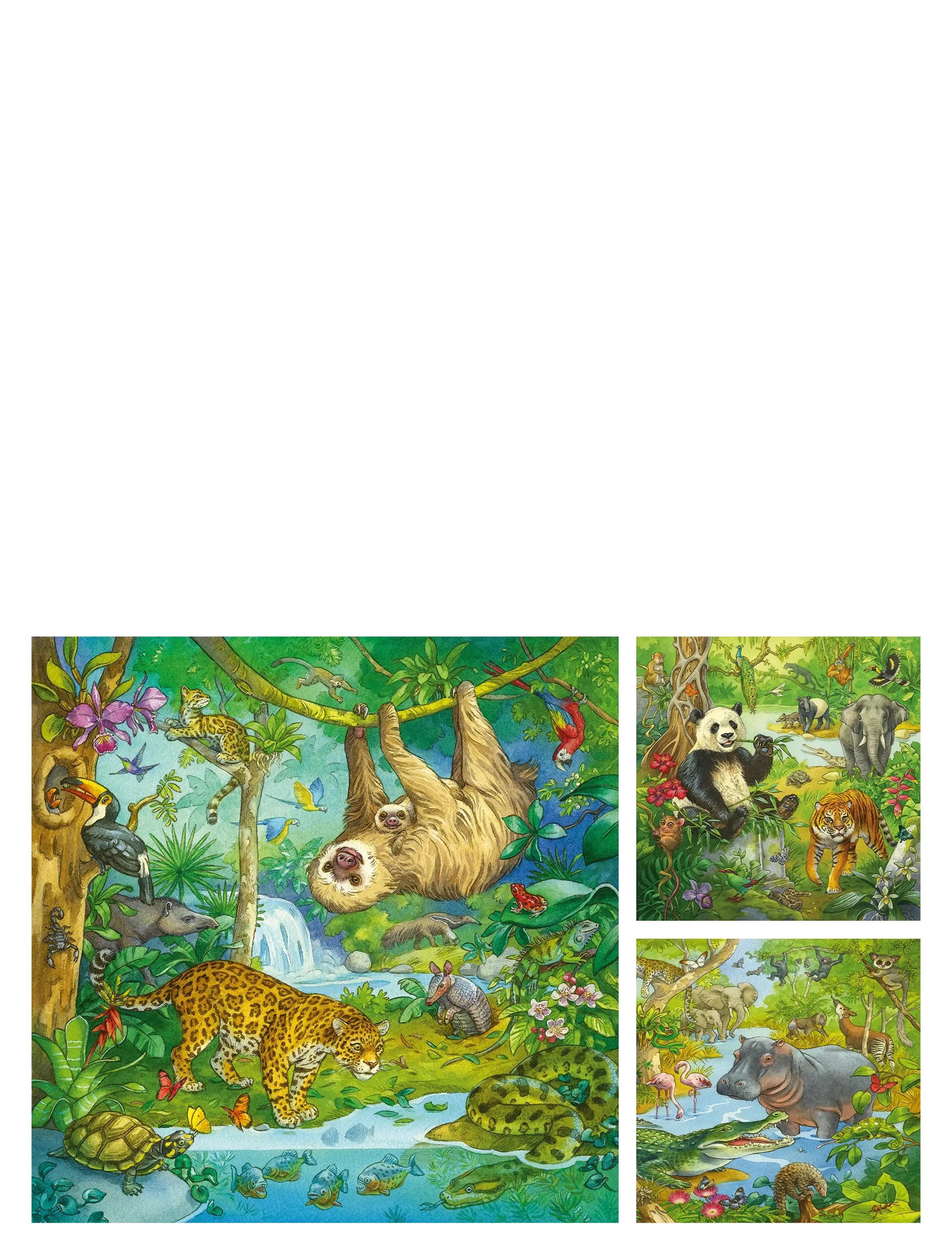 Ravensburger - I jungelen 3x49p - klassiske puslespill - multi coloured - 2