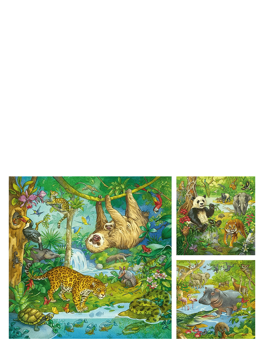Ravensburger - In The Jungle 3x49p - klassísk púsl - multi coloured - 2