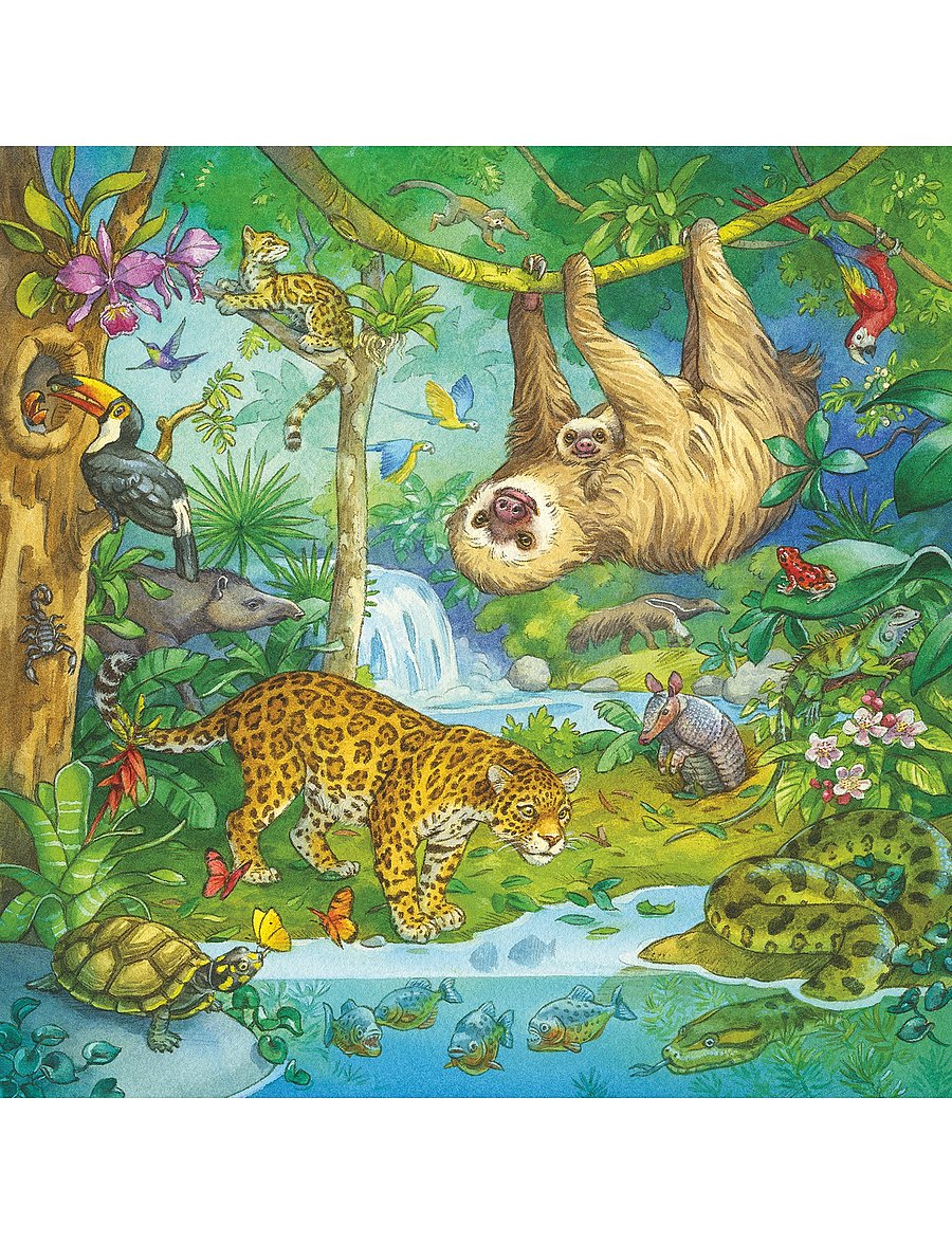 Ravensburger - In The Jungle 3x49p - klassísk púsl - multi coloured - 0
