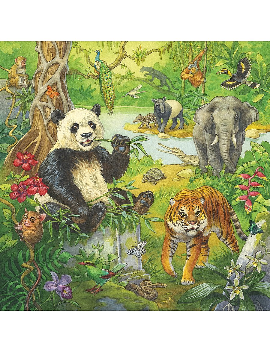 Ravensburger - In The Jungle 3x49p - klassísk púsl - multi coloured - 3