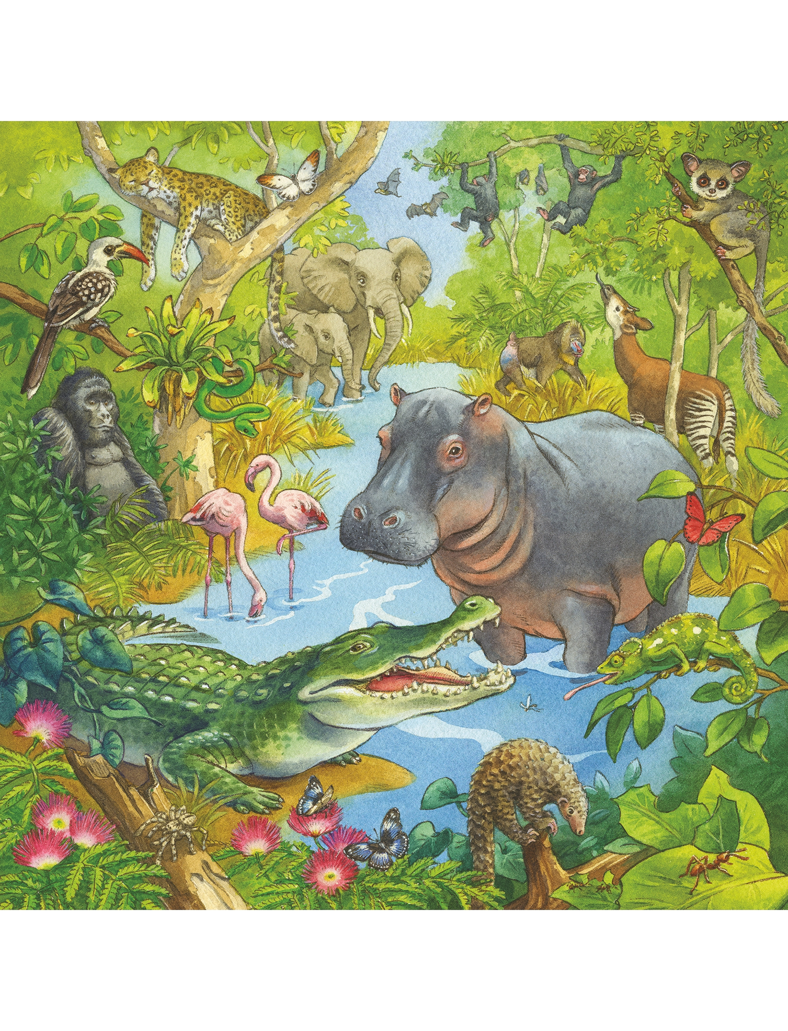 Ravensburger - I jungelen 3x49p - klassiske puslespill - multi coloured - 4