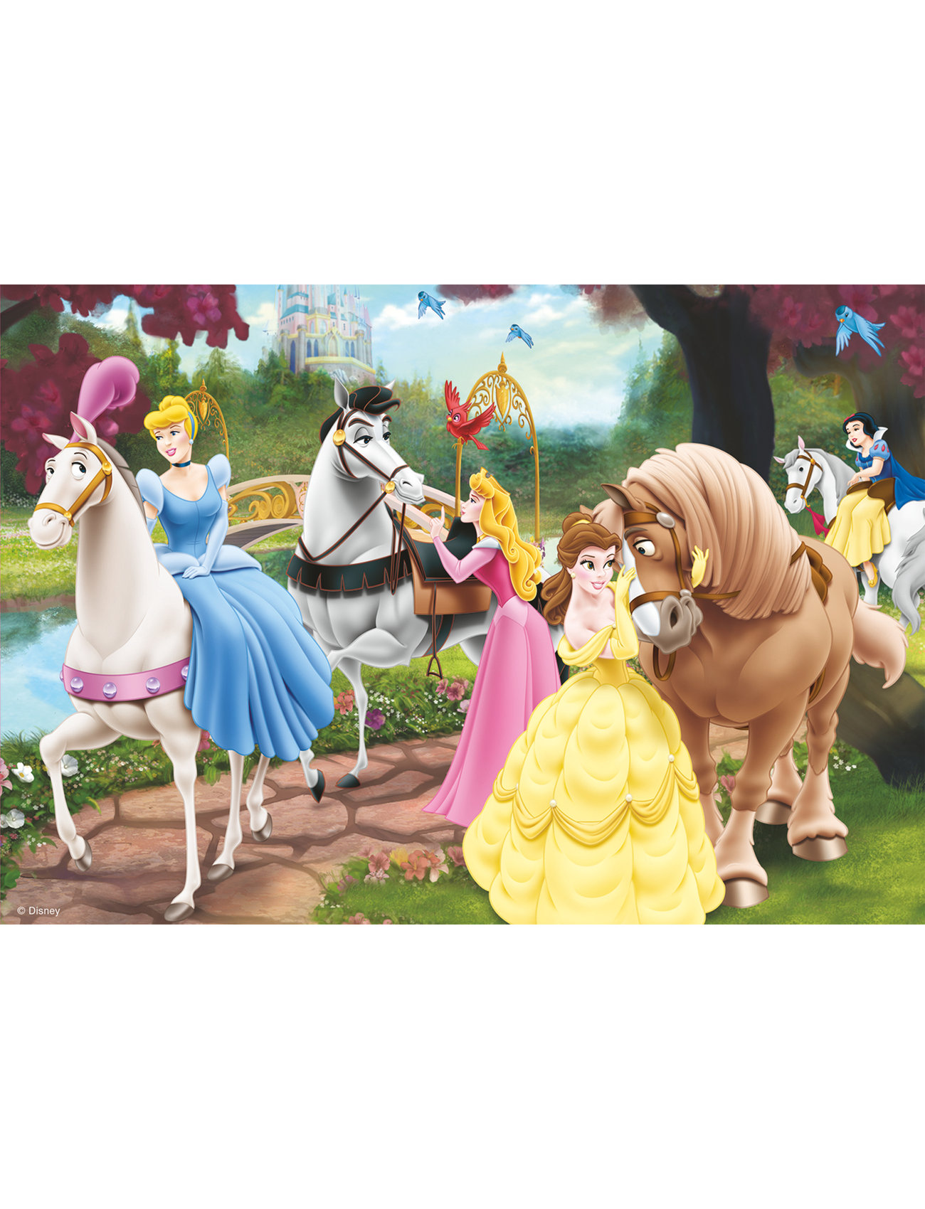Ravensburger - Enchanting Princesses - 2x24p - klassiske puslespil - multi coloured - 1