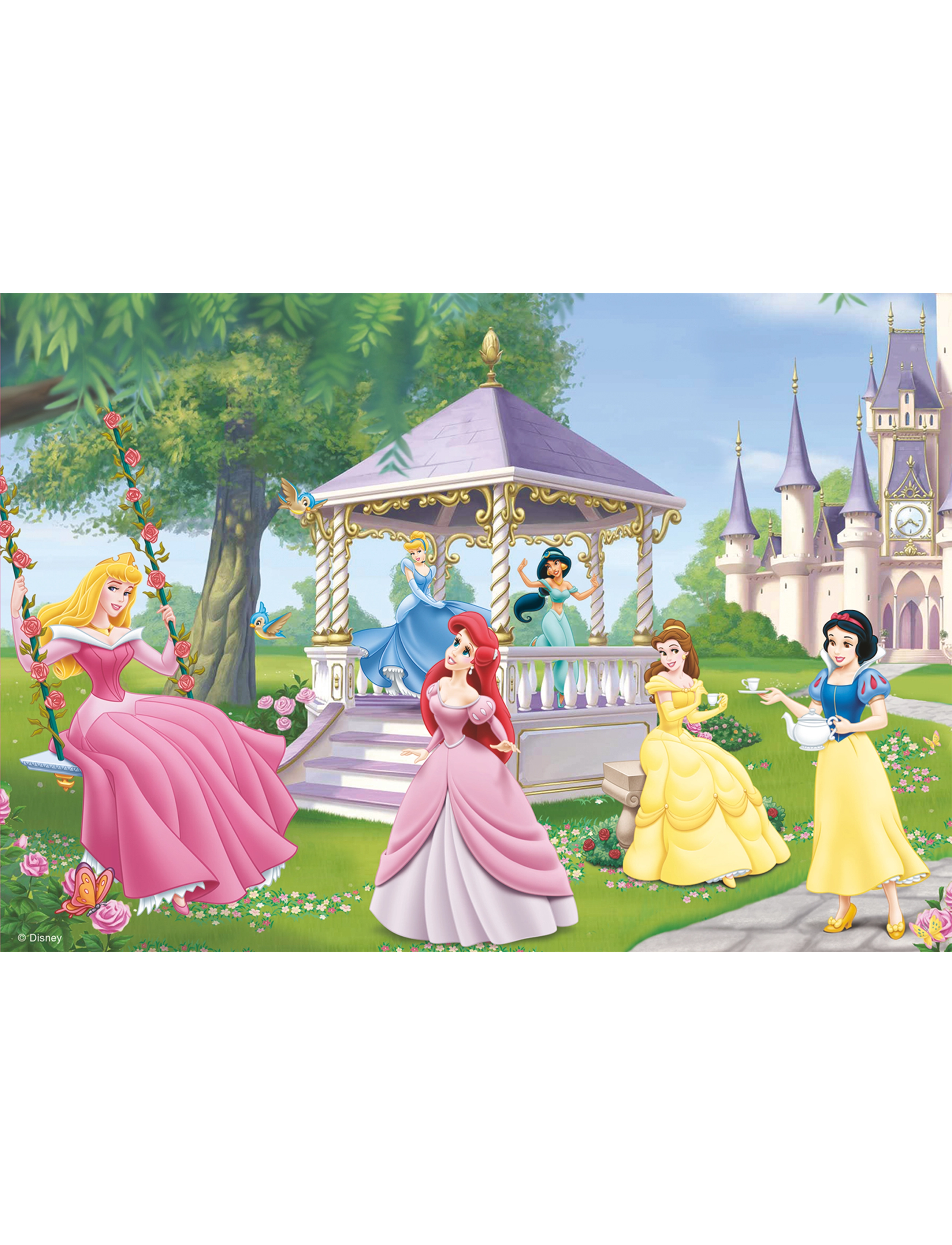 Ravensburger - Enchanting Princesses - 2x24p - pussel - multi coloured - 2