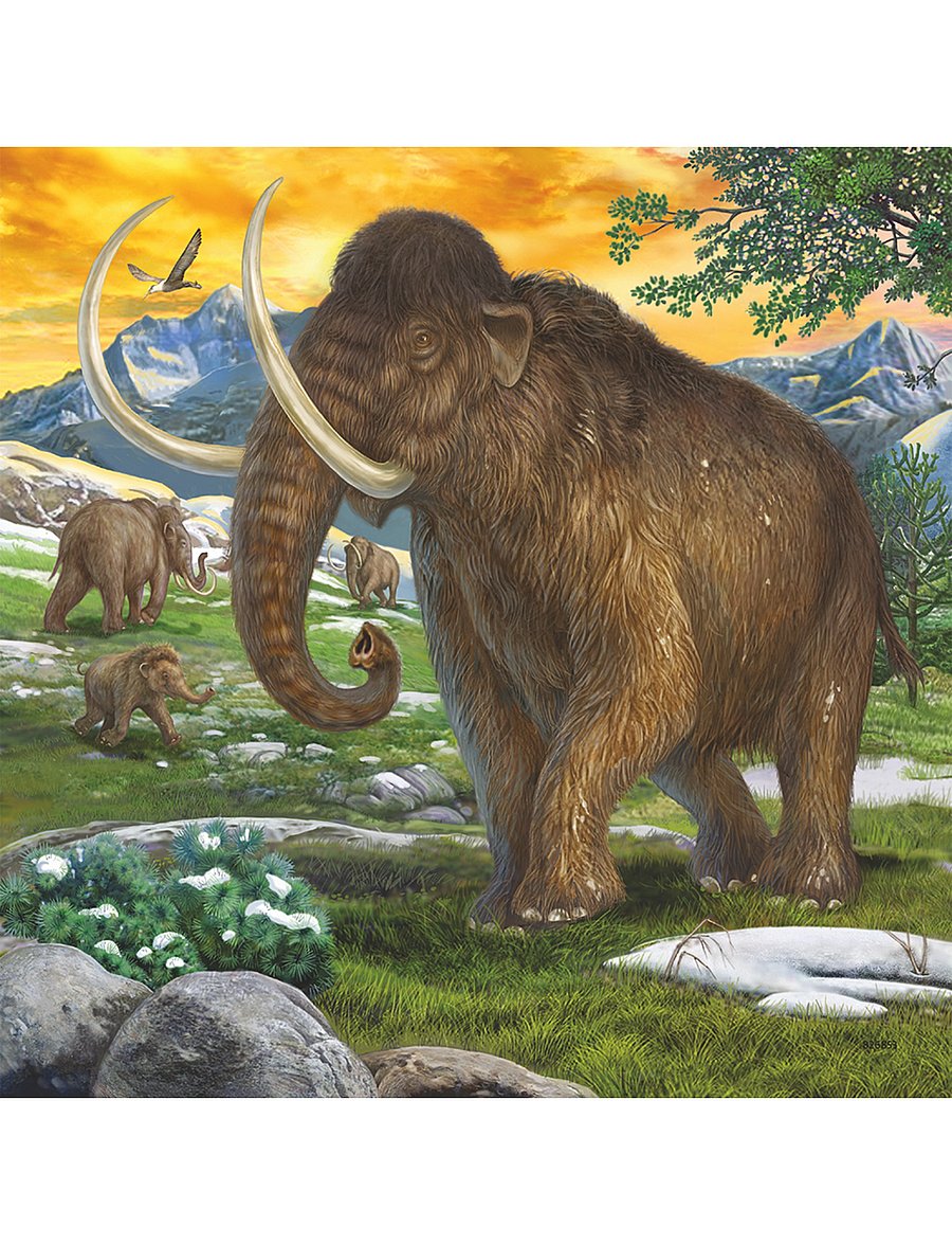 Ravensburger - Primeval Ruler 3x49p - classic puzzles - multi coloured - 2