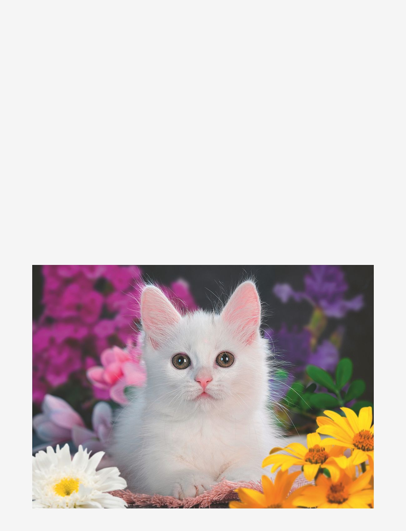 Ravensburger - Hvit kattunge, glitter 100p - klassiske puslespill - multi coloured - 1