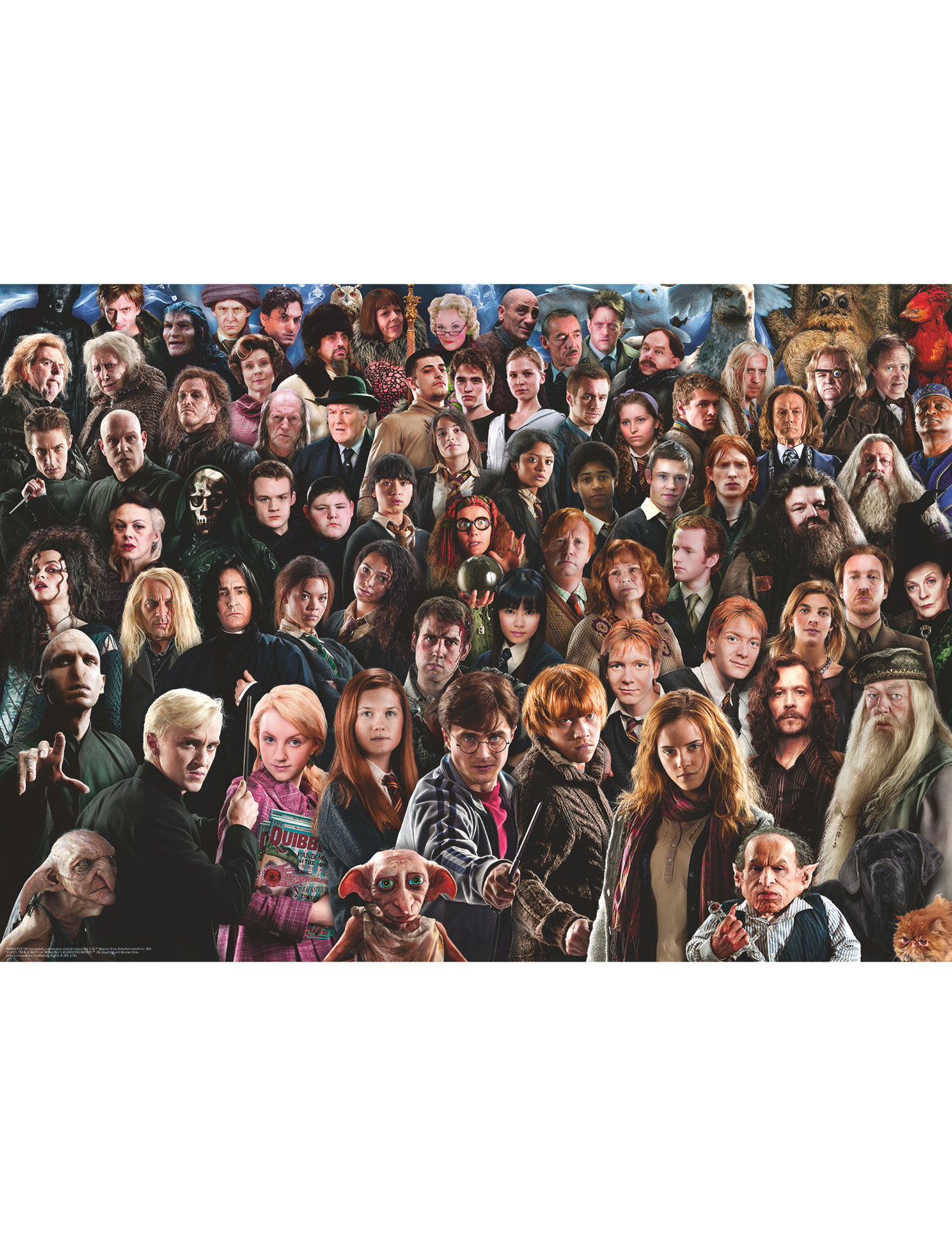 Ravensburger - Challenge Harry Potter 1000p - klassiset palapelit - multi coloured - 1