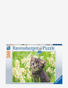 Kitten In The Meadow 500p, Ravensburger