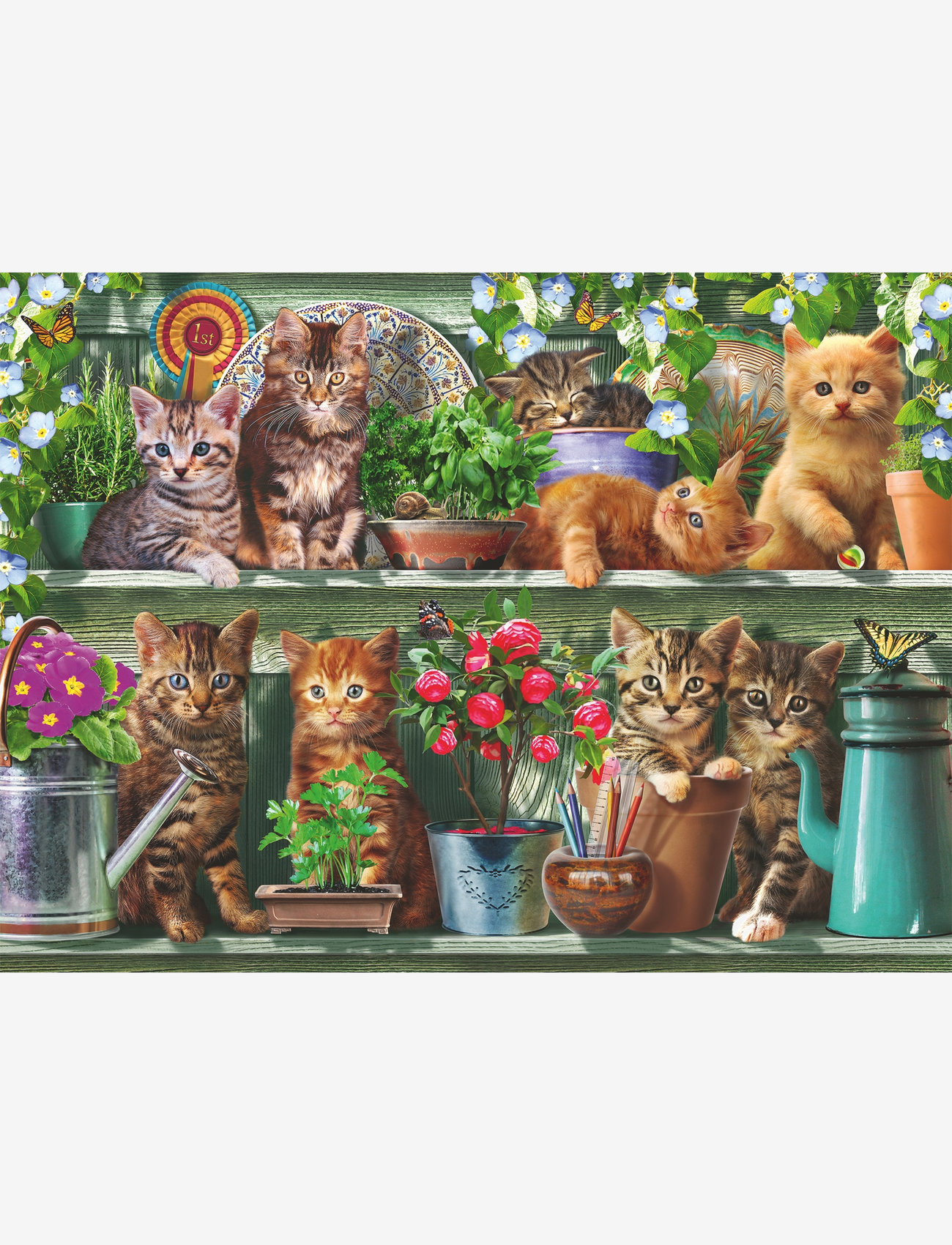 Ravensburger - Cats On The Shelf 500p - multi coloured - 1