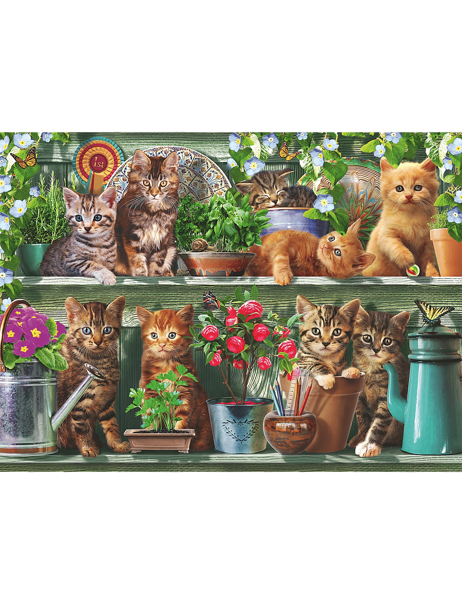 Ravensburger - Cats On The Shelf 500p - klassiska pussel - multi coloured - 1