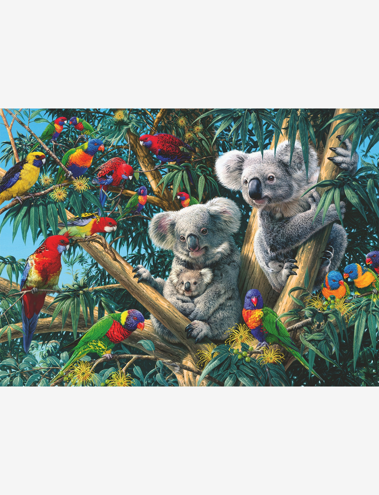 Ravensburger - Koalas In A Tree 500p - klassiske puslespil - multi coloured - 1