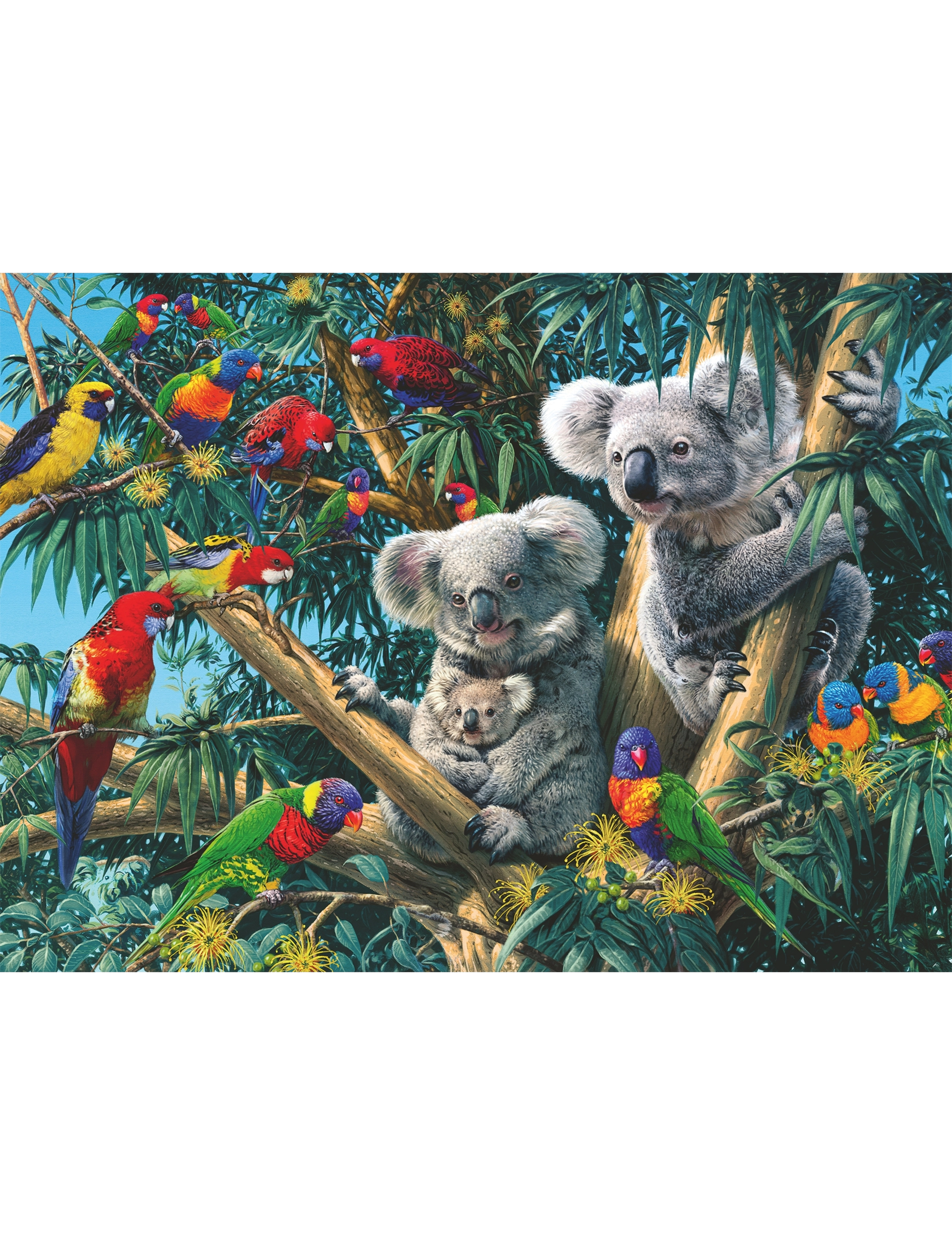 Ravensburger - Koalas In A Tree 500p - klassiset palapelit - multi coloured - 1