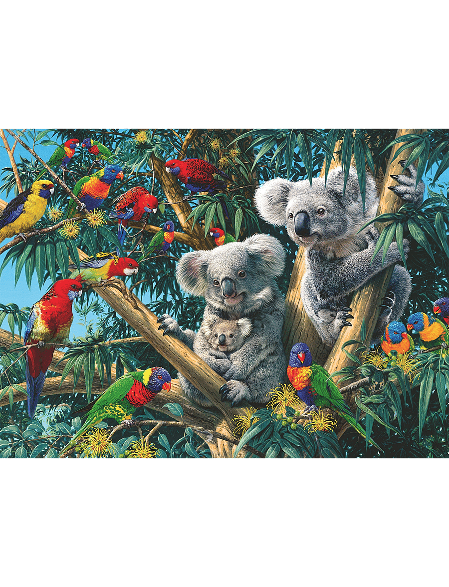 Ravensburger - Koalas In A Tree 500p - klassiska pussel - multi coloured - 1