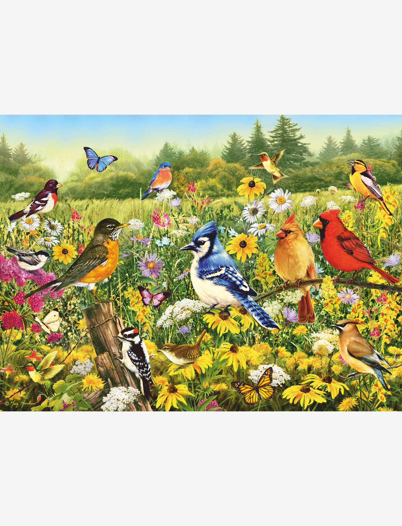 Ravensburger - Birds in the Meadow 500p - klassiska pussel - multi coloured - 1