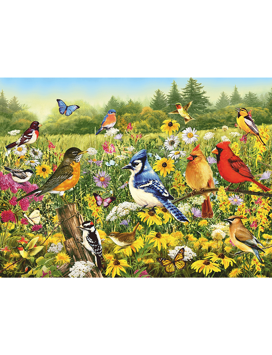Ravensburger - Birds in the Meadow 500p - klassiska pussel - multi coloured - 1