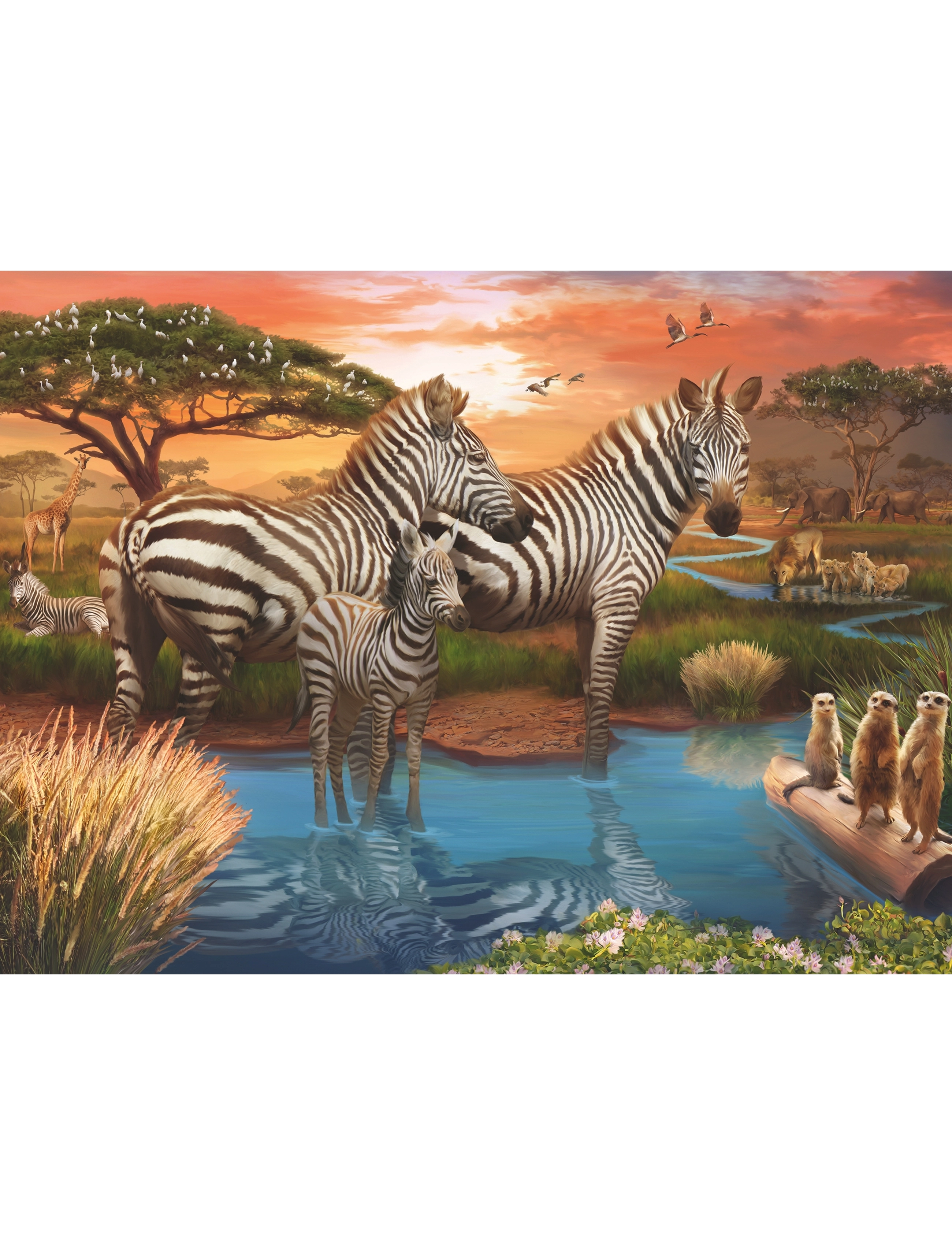 Ravensburger - Zebras In Sunset 500p - klassísk púsl - multi coloured - 1