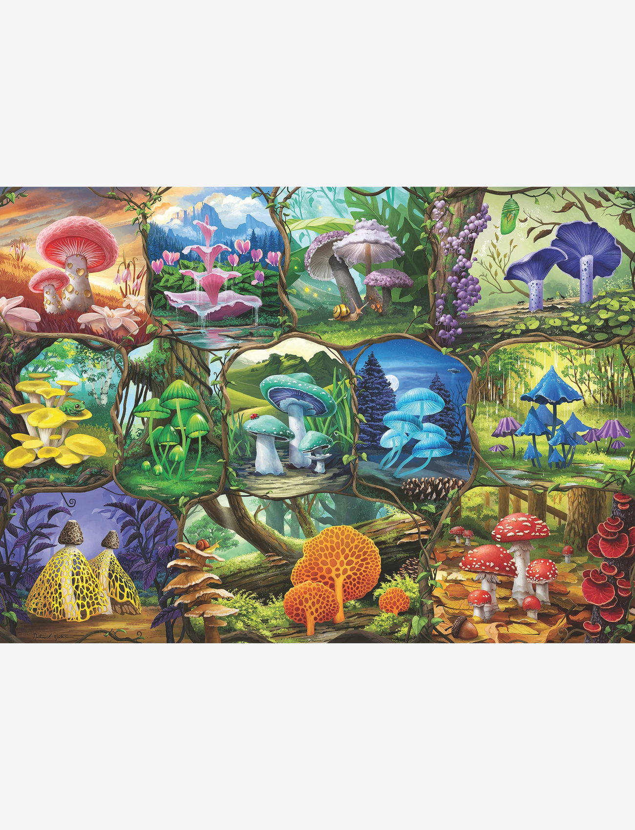 Ravensburger - Beautiful Mushrooms 1000p - klassiska pussel - multi coloured - 1