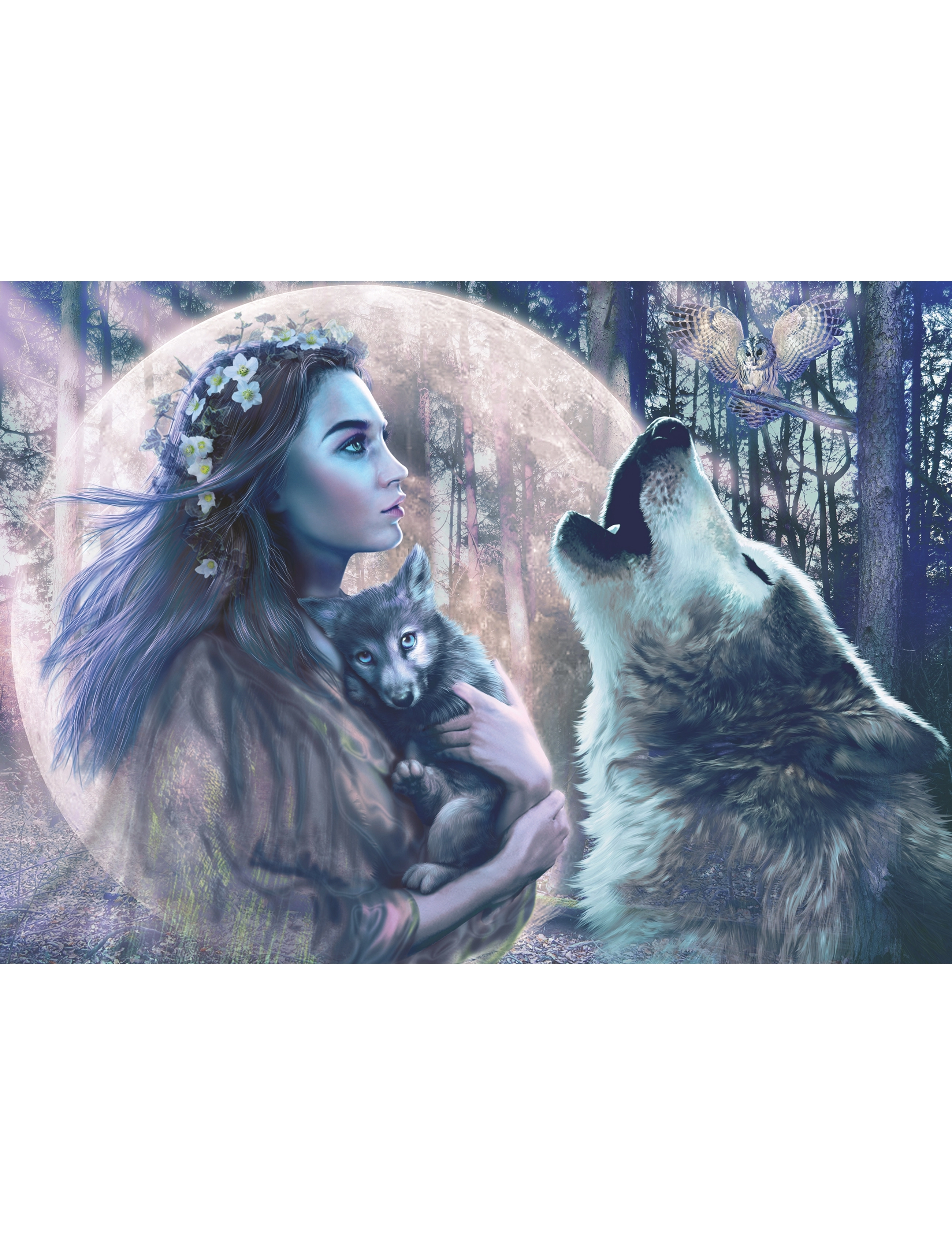 Ravensburger - The Magic Of The Moonlight 1000p - multi coloured - 1