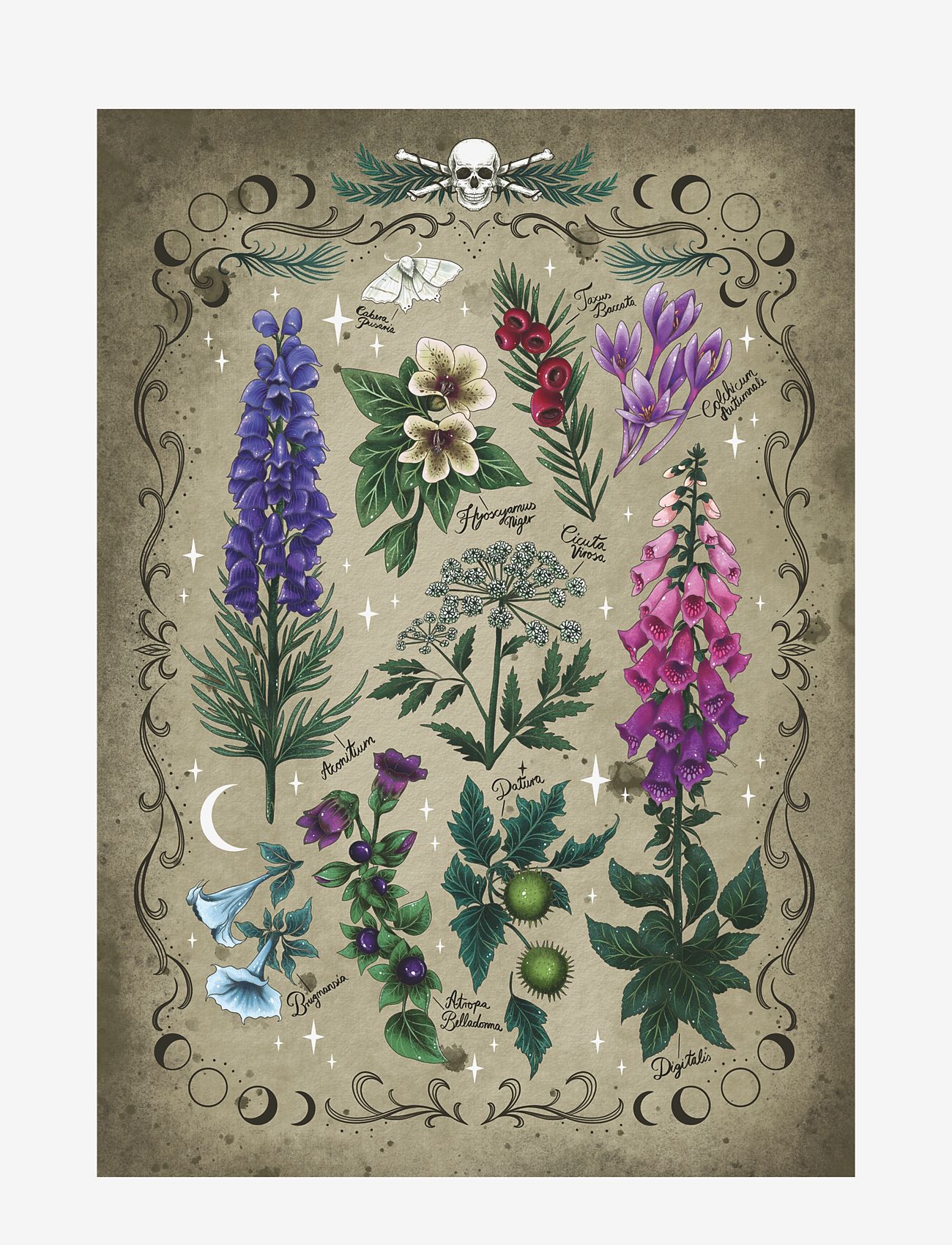 Ravensburger - Toxic Plants 1000p - multi coloured - 1