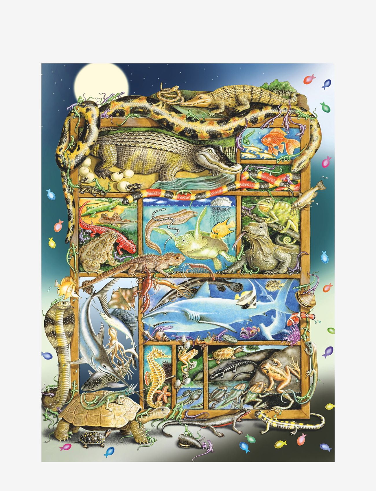 Ravensburger - Fish And Reptile Menagerie 200p - classic puzzles - multi coloured - 1