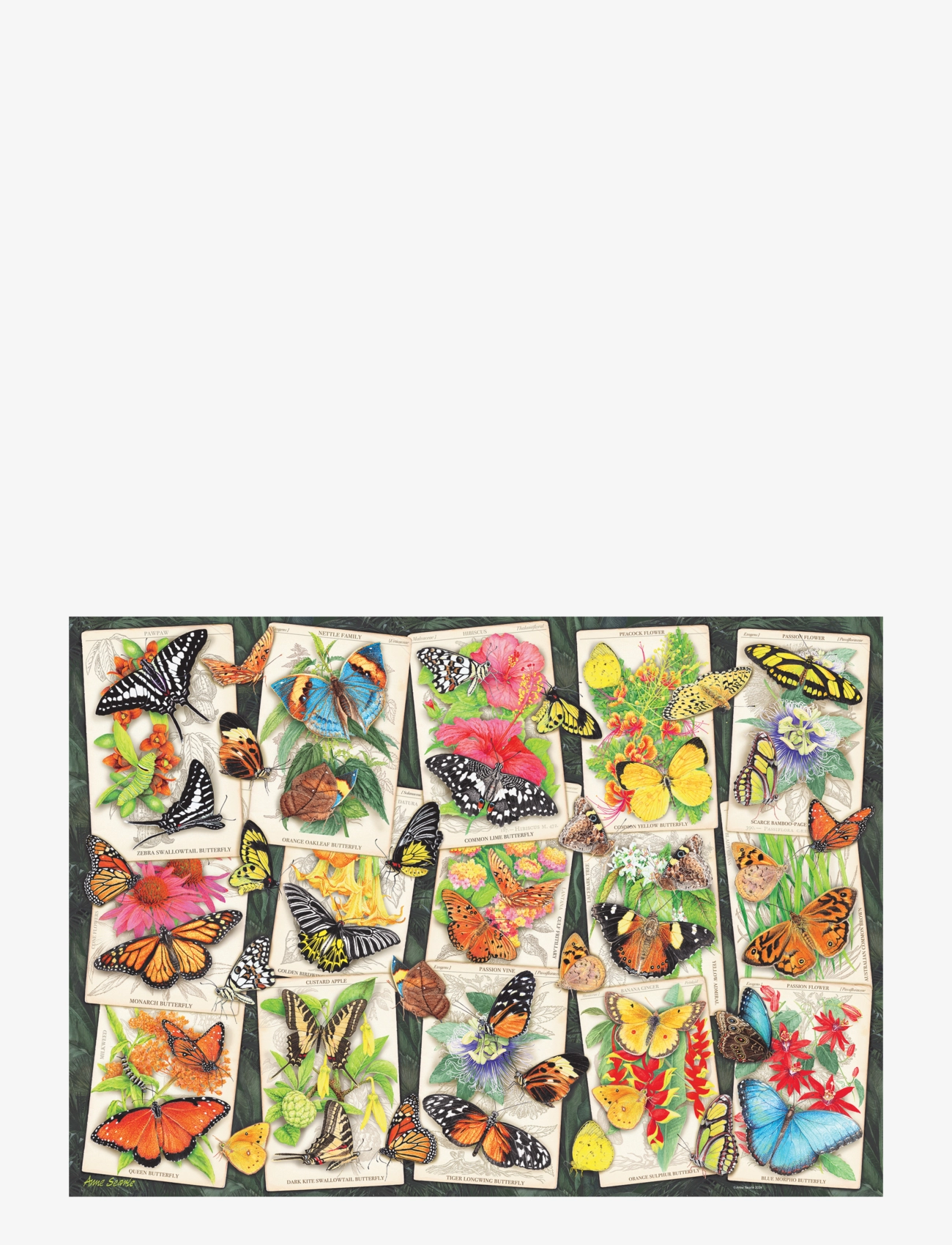 Ravensburger - Tropisk sommerfugl 1000p - klassiske puslespill - multi coloured - 1