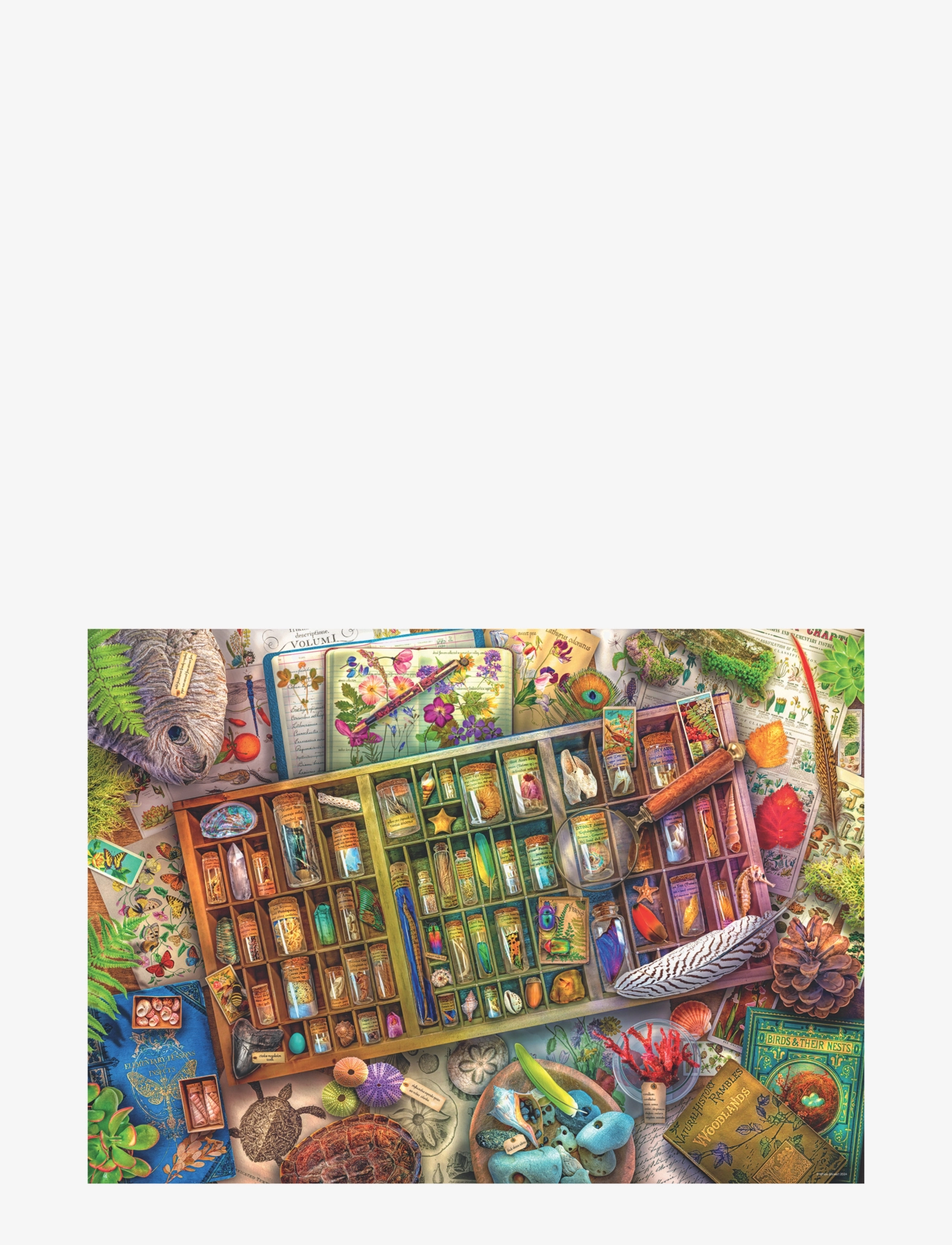 Ravensburger - The Natural World 1000p - klassísk púsl - multi coloured - 1