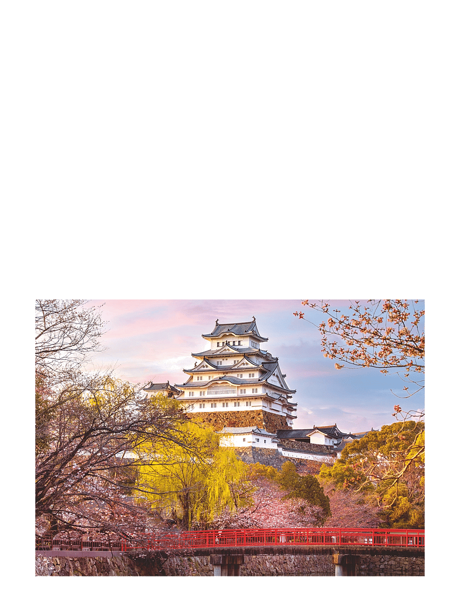 Ravensburger - Himeji Castle Japan 1000p - klassísk púsl - multi coloured - 1