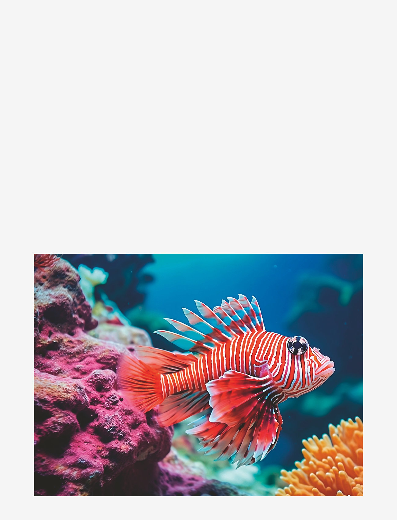 Ravensburger - Red Lionfish 500p - klassiske puslespil - multi coloured - 2