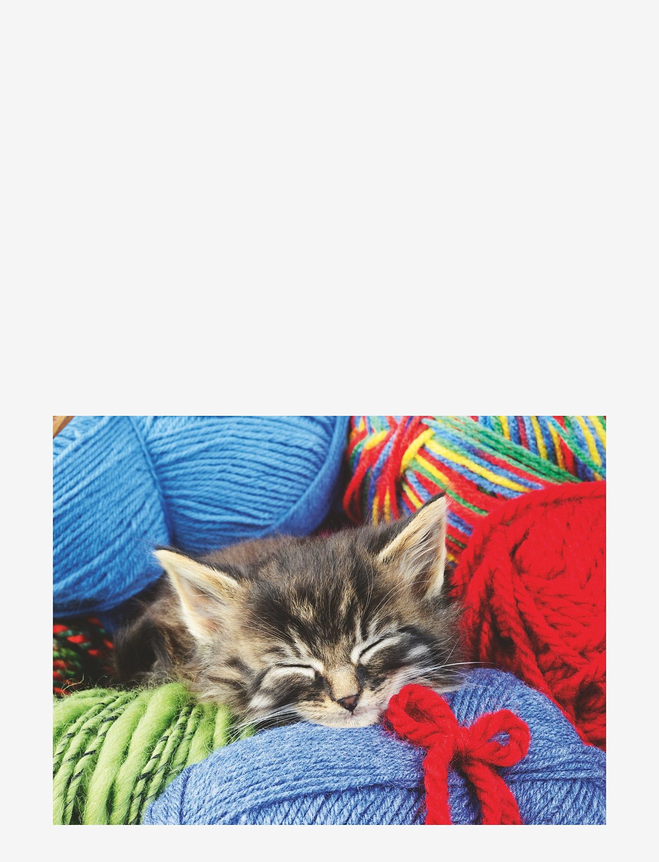 Ravensburger - Wool Cat 100p Ad - klassiske puslespil - multi coloured - 2