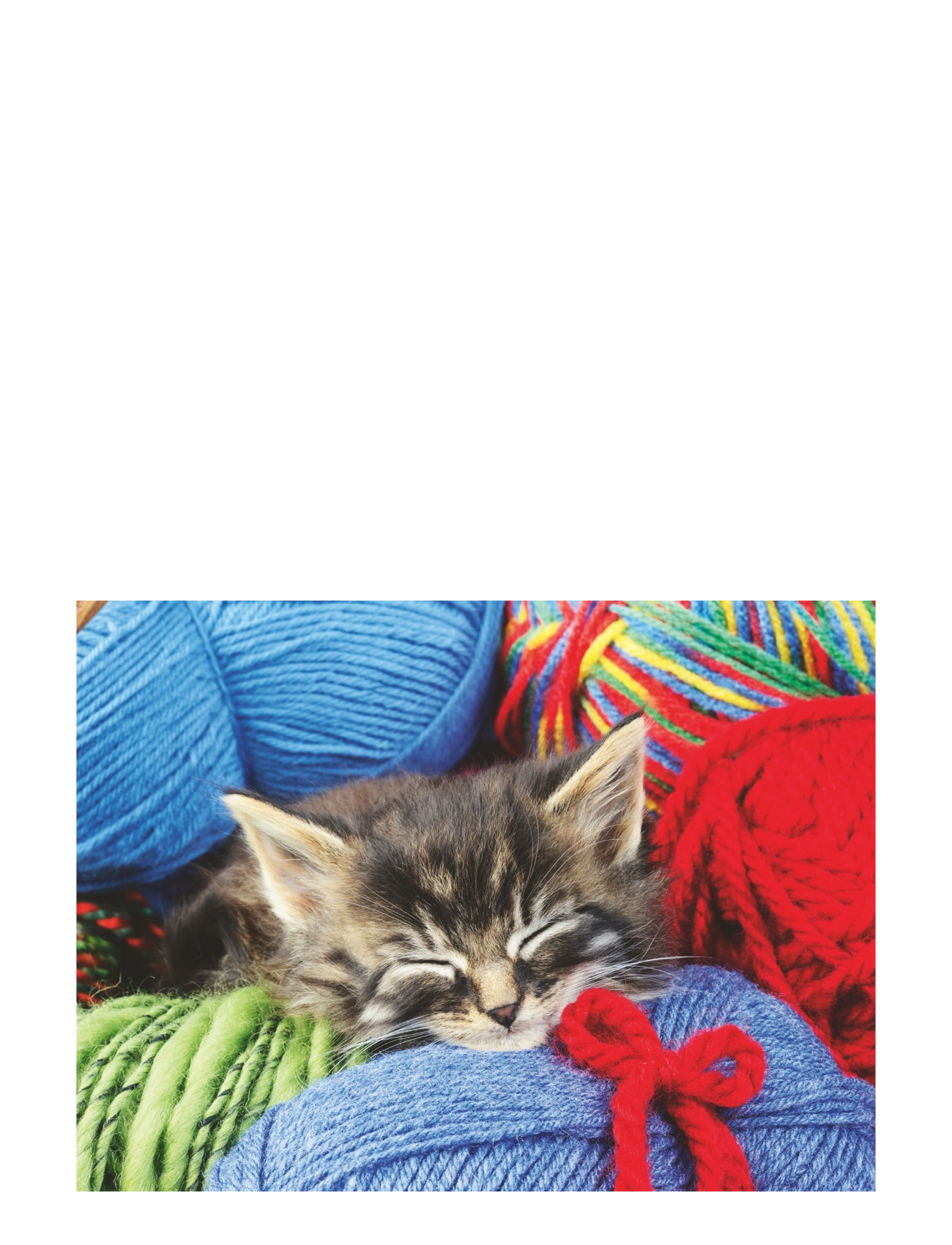 Ravensburger - Wool Cat 100p Ad - klassiset palapelit - multi coloured - 2